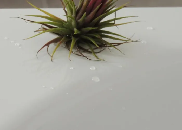 Country house Mirador Ardea Mendixur *