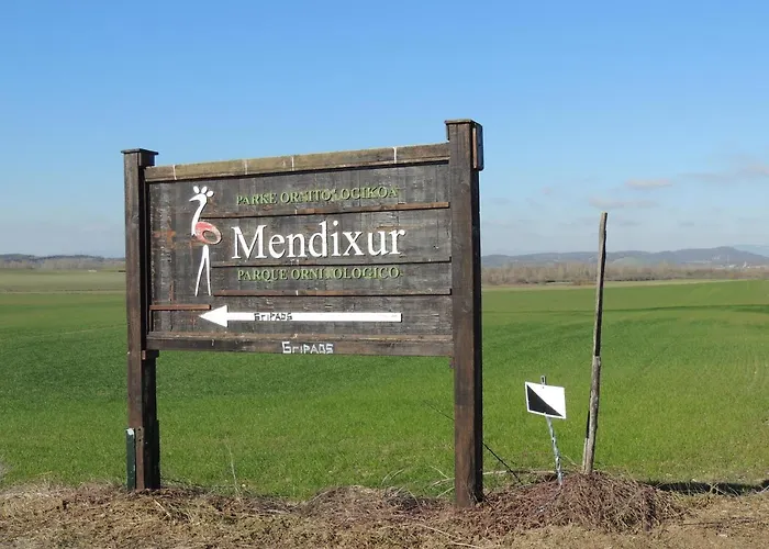 Mirador Ardea Mendixur * Mendijur