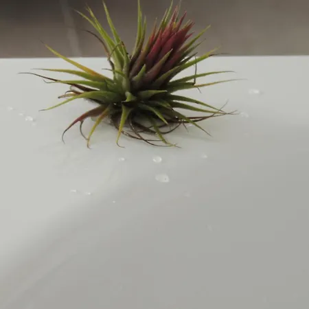 Kır Evi Mirador Ardea Mendixur *