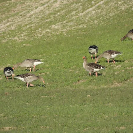 Kır Evi Mirador Ardea Mendixur
