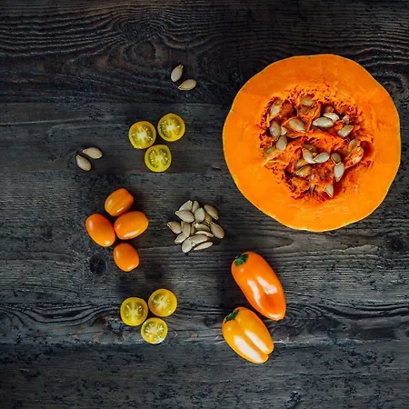 Mirador Ardea Mendixur