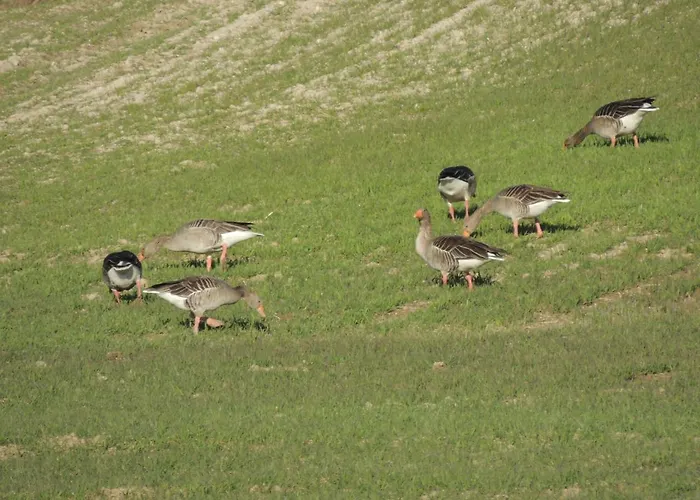 Летний дом Mirador Ardea Mendixur